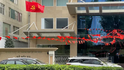 Ho Chi Minh-byen forbereder seg på en generell oversikt over offentlige eiendeler tidlig i 2026