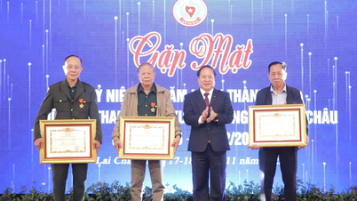 Bijeenkomst ter ere van de 20e verjaardag van de oprichting van de Lai Chau Provincial Youth Volunteer Veterans Association