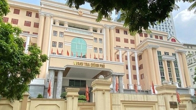 Skuteczna koordynacja działań w celu wyeliminowania nakładania się i duplikowania zadań w pracach inspekcyjnych i audytorskich.