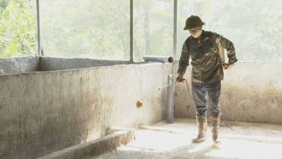 疫病のため豚の群れを回復させるように注意してください。