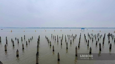 Lawati medan perang legenda di sepanjang Sungai Bach Dang di Hai Phong