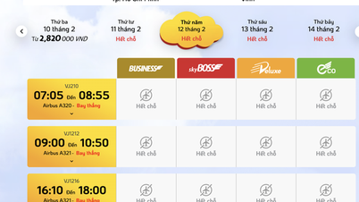 L'aéroport de Vinh n'a pas encore ouvert, les billets d'avion pour Nghe An pendant le Têt sont épuisés.