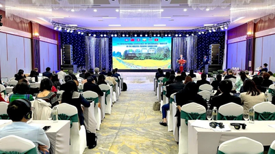 میکونگ سب ریجن میں سیاحت کی پائیدار ترقی