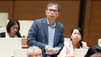 Bekämpfung des Missbrauchs von Anfragen bezüglich Strafregisterauszügen