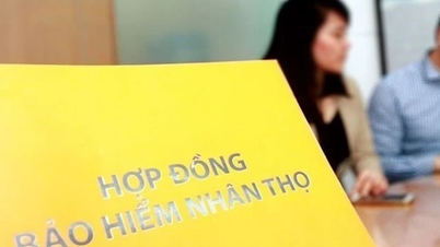 Делегати Національних зборів рекомендують Уряду встановити форми договорів страхування.