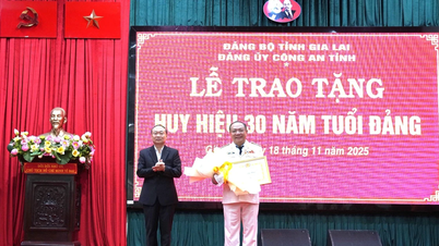 Generaal-majoor Le Quang Nhan ontving het embleem voor zijn 30-jarig partijlidmaatschap.