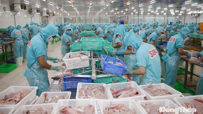 Dong Thap: Developing agriculture in an organic and circular direction