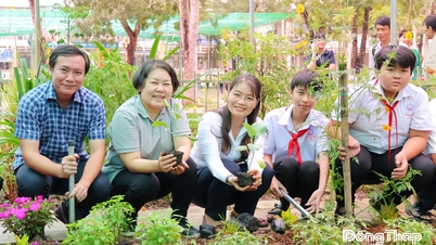 My Tho Commune: Sowing green seeds for the young generation to do clean agriculture