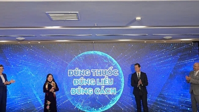 Implementering av sektorsövergripande samarbete i "kriget" mot antibiotikaresistens i Vietnam