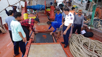 Reforzar los patrullajes para prevenir las violaciones de la pesca ilegal, no declarada y no reglamentada.