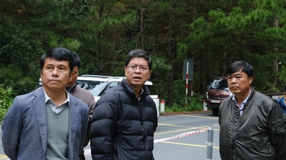 Срочное укрепление оползневых участков на перевале Мимоза