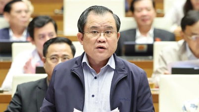 Delegáti se obávají „mezer“, kdy je nutné deklarovat pouze majetek v hodnotě přesahující 1 miliardu