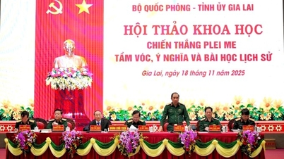 Konferensi ilmiah untuk merayakan ulang tahun ke-60 kemenangan Plei Me