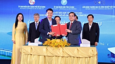 סדרה של תאגידים גדולים מוכנים להשקיע בקה מאו.