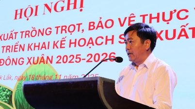 Bitki yetiştirme sektöründe teknoloji uygulamasını ve dijital dönüşümü teşvik etmeye devam edin