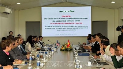 O estado de Idaho (EUA) está interessado em um modelo de criação de gado de alta tecnologia.