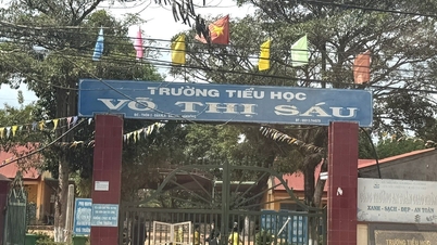 ラムドン省の4つの自治体は、職を失う危険にさらされていた27人の学校職員を認定することを提案している。