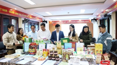 Spotkanie Rady ds. głosowania nad typowymi produktami przemysłowymi wsi prowincji Son La w 2025 r.