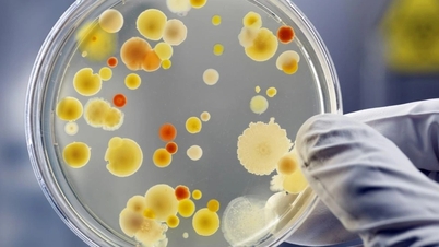 Penyakit menjadi lebih biasa dan berbahaya disebabkan oleh "wabak" kerintangan antibiotik.