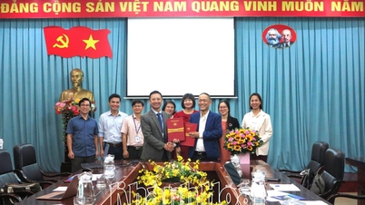 Trường Đại học Nha Trang và Công ty Cổ phần Dịch vụ Công nghệ Sài Gòn ký kết hợp tác
