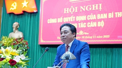 تم تعيين السيد نجوين خاك توان نائبا لأمين لجنة الحزب في مدينة هوي.