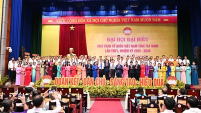 তাই নিন প্রদেশের ভিয়েতনাম ফাদারল্যান্ড ফ্রন্ট কমিটির স্থায়ী কমিটির তালিকা, প্রথম মেয়াদ, ২০২৫ - ২০৩০