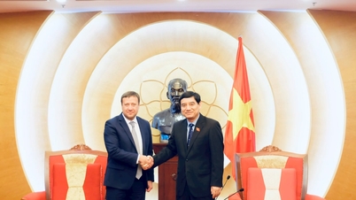 Stärkt samarbete inom utbildning mellan Vietnam och Ryska federationen