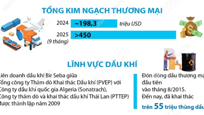 Traditionelle Freundschaft zwischen Vietnam und Algerien
