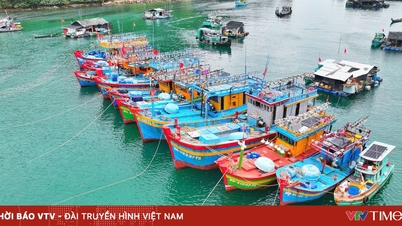 Ένας σχεδιασμός στην επαρχία Giang στοχεύει σε μια ισχυρή θαλάσσια οικονομία