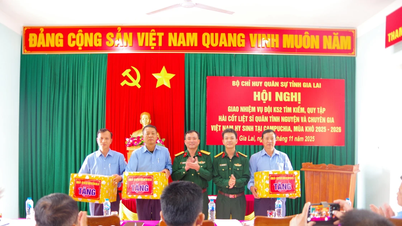 Gia Lai: Giao nhiệm vụ tìm kiếm, quy tập hài cốt liệt sĩ hy sinh trong các thời kỳ chiến tranh ở Campuchia