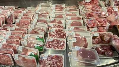 Doanh thu C.P. Việt Nam sụt giảm, lợi nhuận nhiều đối thủ khác lại tăng mạnh