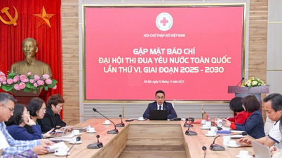 Hội Chữ thập đỏ Việt Nam ghi dấu ấn trong phong trào thi đua yêu nước