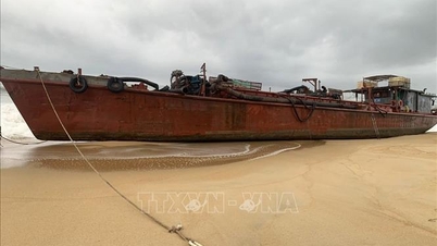 Tàu hàng chứa 2.000 lít dầu bị sóng đánh tấp vào bờ, mắc cạn trên cát