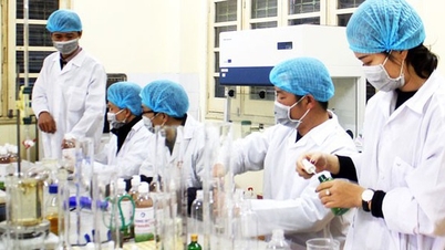 व्यवसाय हो ची मिन्ह सिटी को विज्ञान, प्रौद्योगिकी और नवाचार की अपनी क्षमता को उजागर करने में मदद करने के लिए "सलाह" दे रहे हैं