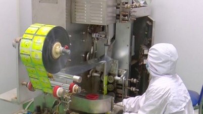 Застосування науки, технологій та інновацій у різних галузях провінції Куангнінь - успіхи, обмеження та проблеми