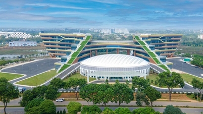 Una serie de políticas preferenciales para el Centro Nacional de Innovación