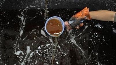 Tiêu dùng dầu ăn quá mức trở thành gánh nặng cho môi trường