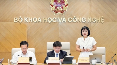 Resultados del trabajo de 12 delegaciones de trabajo del Ministerio de Ciencia y Tecnología en 34 localidades.