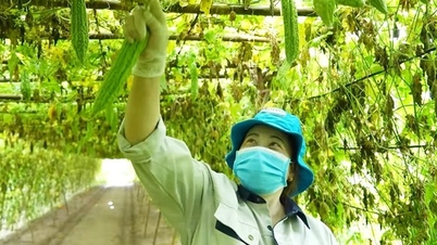 قرارداد 57: کوآپریٹیو اور کسانوں کے لیے "ٹیکنالوجی کی کلید"