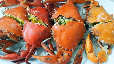 Balapan kepiting kecepatan unik di Festival Kepiting Ca Mau