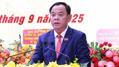 Ông Võ Tấn Đức tiếp tục làm Phó Bí thư sau khi thôi chức Chủ tịch Đồng Nai