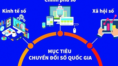 Kinh tế số tăng tốc, xã hội số lan tỏa: Việt Nam đẩy mạnh triển khai các chương trình trọng điểm