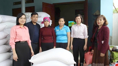 トゥエンクアン州、嵐10号の被災者支援のため700トン以上の米を提供