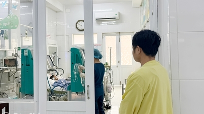 Chủng virus EV71, sốt xuất huyết Dengue 2 khiến trẻ phải thở máy, lọc máu