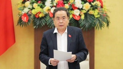 អនុម័តលើសេចក្តីសម្រេចចិត្តស្តីពីចំនួនប្រជាជនដែលរំពឹងទុកពីអង្គការនយោបាយ និងអង្គការសង្គមនានា ដែលត្រូវតែងតាំងជាបេក្ខជនតំណាងរាស្រ្តនីតិកាលទី១៦។