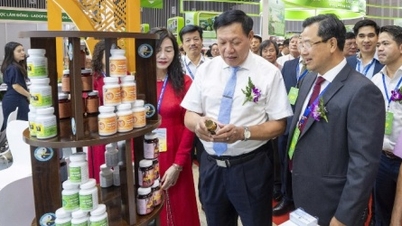 នាំមុខគេនូវនិន្នាការថែទាំសុខភាពដ៏ឆ្លាតវៃនៅ Vietnam Medi-Pharm 2025