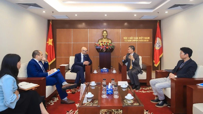 Het benaderen van internationale normen, het creëren van een veelzijdige arbitrage-instelling in Vietnam