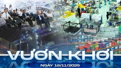 التواصل - ١٧ نوفمبر ٢٠٢٥ | مسارات ماراثونية رائعة شرق مدينة هو تشي منه