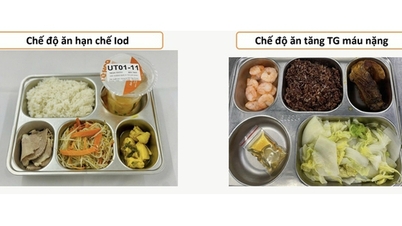التغذية: عامل مهم في عملية التعافي من العلاج