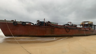 یک کشتی باری در آب‌های کوانگ نگای به گل نشست.